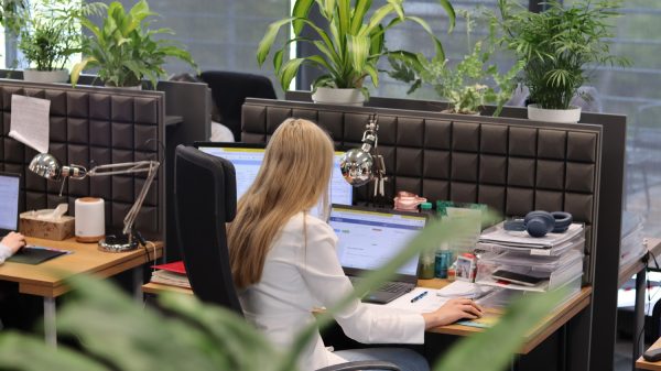 agencja pracy Drezno