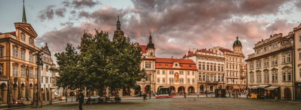 Brandenburgia informacje