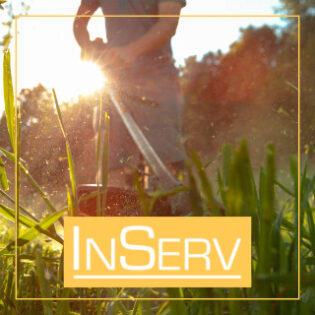 Ogrodnik - praca za granicą